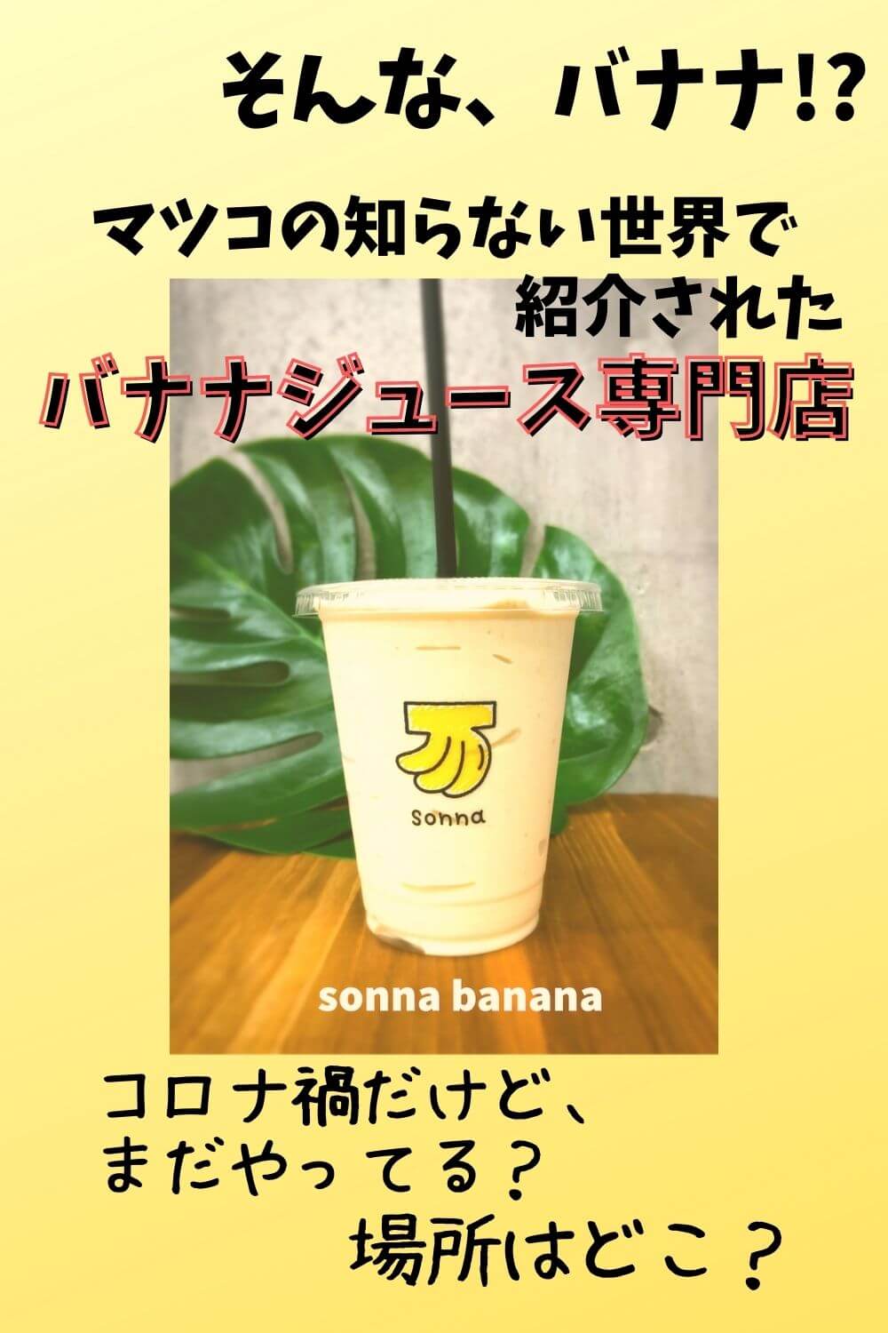 野田枝里sonna banana ソンナバナナ