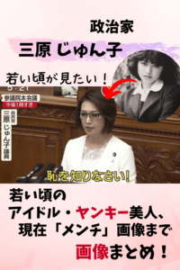 三原じゅん子,若い頃,昔,画像,ヤンキー,逮捕,アイドル,金八,メンチ,マスク