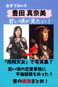 豊田真奈美,マツコの知らない世界,女子プロレス,結婚,画像,若い頃,昔,不倫,飯塚高史,飛翔天女