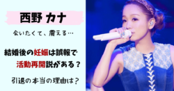 西野カナの現在(2023)!引退理由は結婚妊娠?2024復帰説も!【最新画像】 | 芸能人の過去と現在!今は何してる?