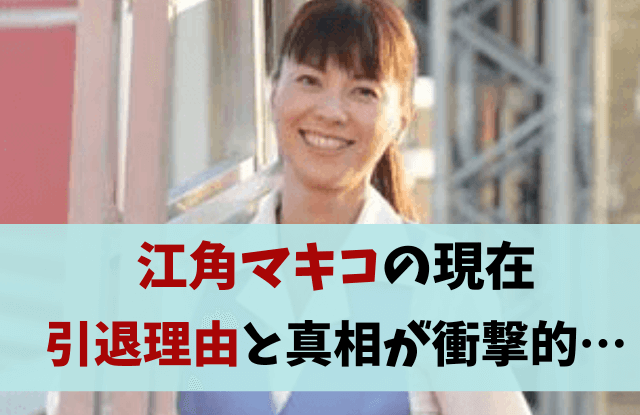 江角マキコ,江角まきこ,現在,今,今何してる,干された,引退理由,真相,収入源,収入,不倫,旦那,子供,引退いつ,なぜ,投資