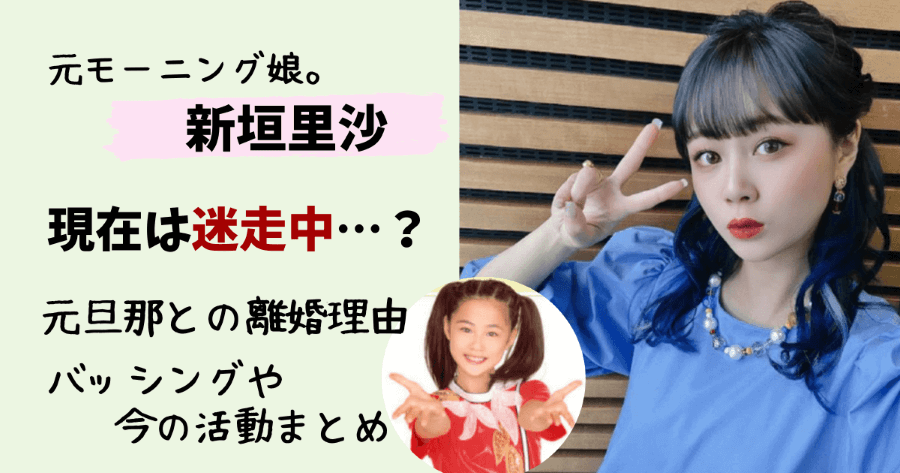 新垣里沙,ガキさん,愛ガキ,現在,今,旦那,夫,離婚理由,ユーチューバー,YouTube,収入,子供,バッシング,ブログ,しらたま,結婚,リトルリサ,アパレルブランド,インスタグラム,デビュー当時,コネ,結婚式,ブランドショップ,モーニング娘