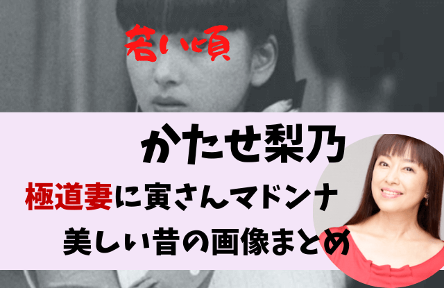 かたせ梨乃,若い頃,画像,大学,生い立ち,年齢,モデル,昔,極道の妻,寅さん,かわいい,まとめ,映画,美脚