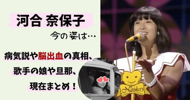 河合奈保子,現在,今の姿,今,画像,写真,オーストラリア,病気,脳出血,豪邸,旦那,夫,娘,金原宜保,引退,復帰,結婚