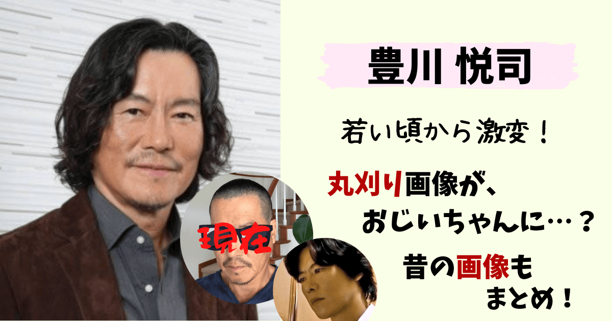 豊川悦司,トヨエツ,若い頃,画像,丸刈り,老けた,劣化,現在,ドラマ,愛していると言ってくれ,おじいちゃん,年齢,昔,写真,かっこよすぎる,激変