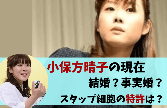 小保方晴子,おぼ,おぼちゃん,現在,今,結婚,子供,何してる,どうしてる,パティシエ,麻雀,収入,仕事,グラビア,画像,今の姿,新井勝男,割烹着,別人,stap,スタップ細胞