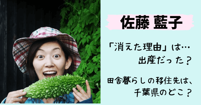 佐藤藍子,佐藤寛子,現在,今,何してる,出産,子供,香取市,旦那,夫,結婚,沼田拓馬,乗馬クラブ,田舎暮らし,場所,消えた理由,ノブナカ