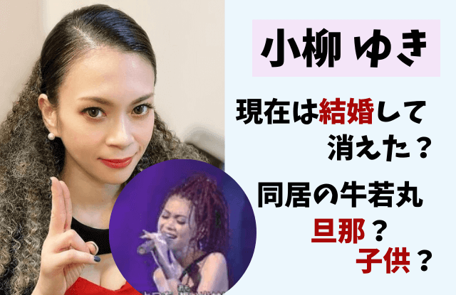 小柳ゆき,現在,画像,結婚,干された,消えた,旦那,年齢,身長,ハーフ,写真,干された理由,子供