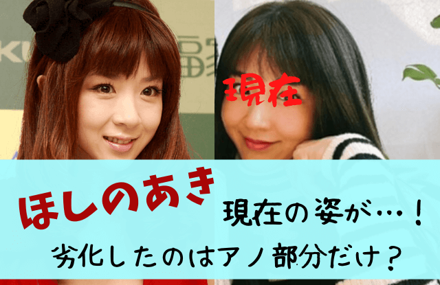 ほしのあき,現在,劣化,胸,巨乳,豊胸,今,旦那,子供,消えた理由,干された,復帰,いつ,仕事,画像,奇跡